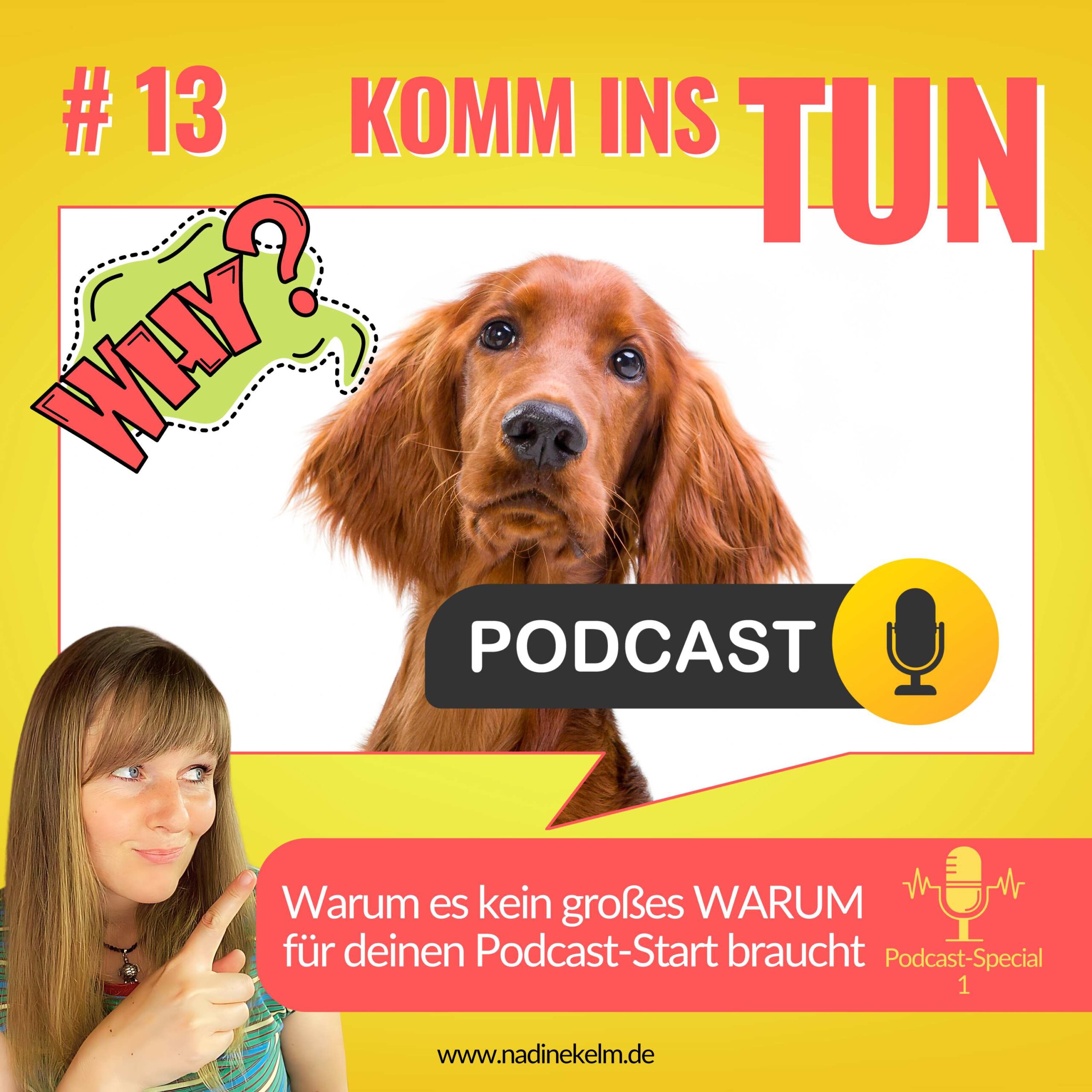 Cover 13 - Komm insTUM Podcast - Podcast Warum